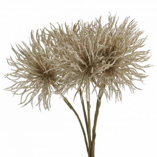 Floristik24 Artificial clematis branch champagne with glitter 32cm 5pcs