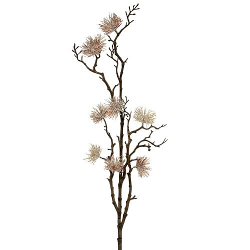 Floristik24 Witch hazel branch champagne 112cm