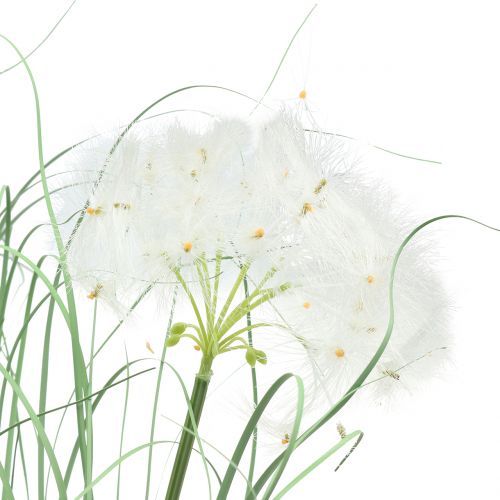 Product Ornamental grass with white seeds green H73cm