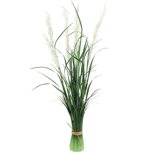 Floristik24 Ornamental grass Pampas grass with fronds green / cream H107cm