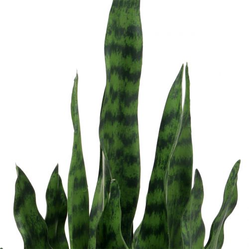 Floristik24 Artificial Sansevieria in a pot H90cm