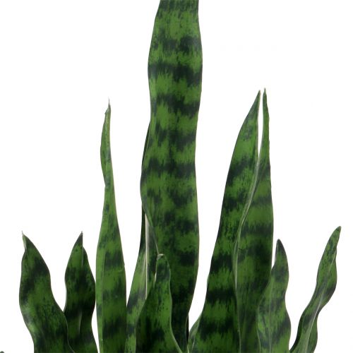 Product Sansevieria artificial in pot H62cm