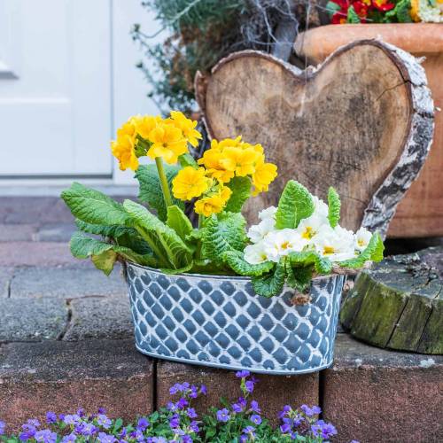 Floristik24 Zinc bowl diamond with rope handles oval 32cm H15cm