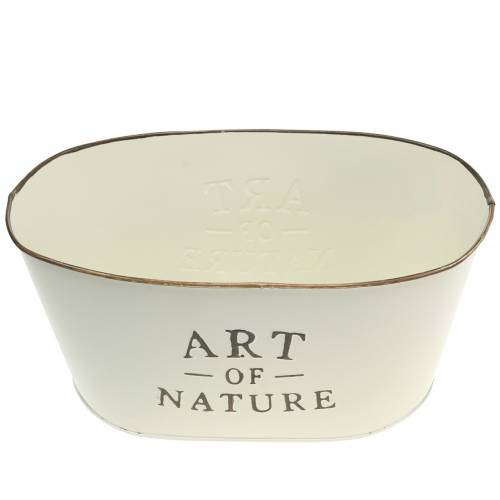 Floristik24 Flower bowl oval zinc cream 27×18cm H12.5cm