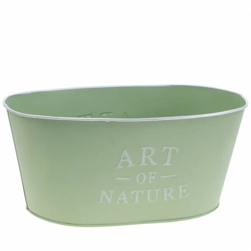 Floristik24 Flower bowl oval zinc mint green 27×18cm H12.5cm