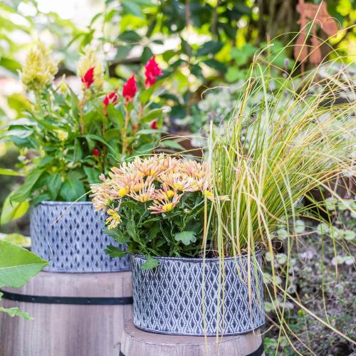 Floristik24 Zinc pot with diamond pattern oval 23cm x 15cm / 21.5cm x 14cm 2pcs