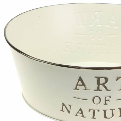 Floristik24 Flower bowl round zinc cream Ø25cm H9cm