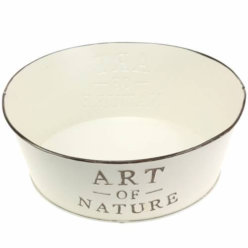 Floristik24 Flower bowl round zinc cream Ø25cm H9cm