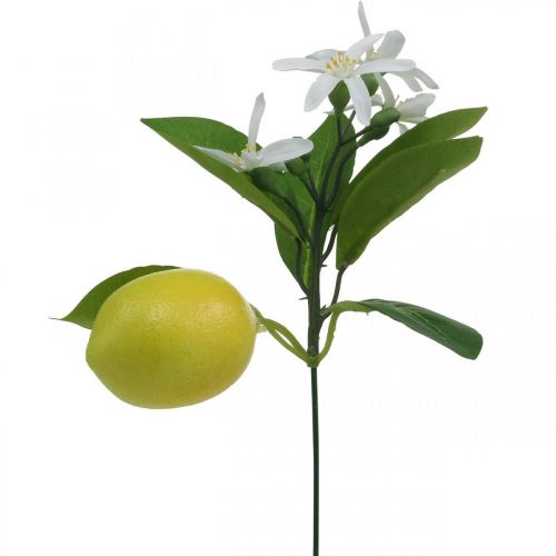 Floristik24 Deco branch lemon and flowers artificial branch summer decoration 26cm 4pcs