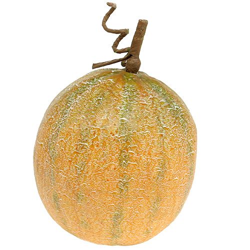 Floristik24 Decorative melon cantaloupe Ø14cm