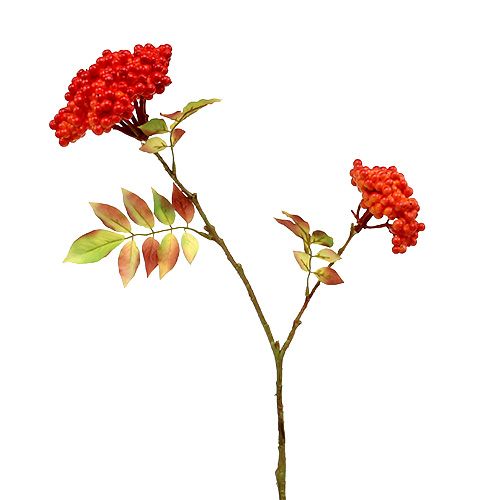 Floristik24 Branch with berries orange 53cm