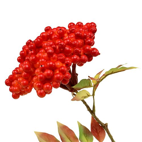 Floristik24 Branch with berries orange 53cm