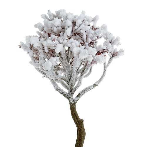 Floristik24 Branch with snow 22cm 3pcs