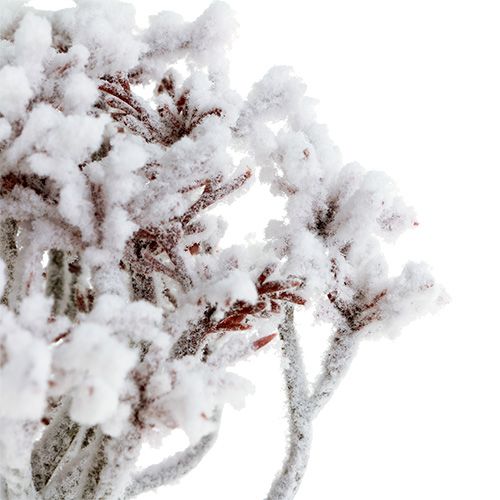 Branch with snow 22cm 3pcs