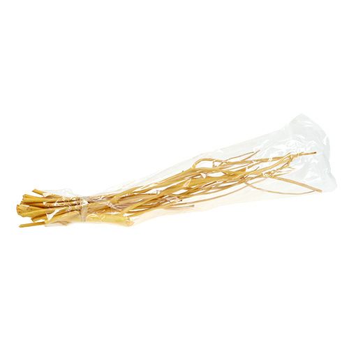 Floristik24 Decorative branches Mitsumata yellow 45-60cm 12 pcs
