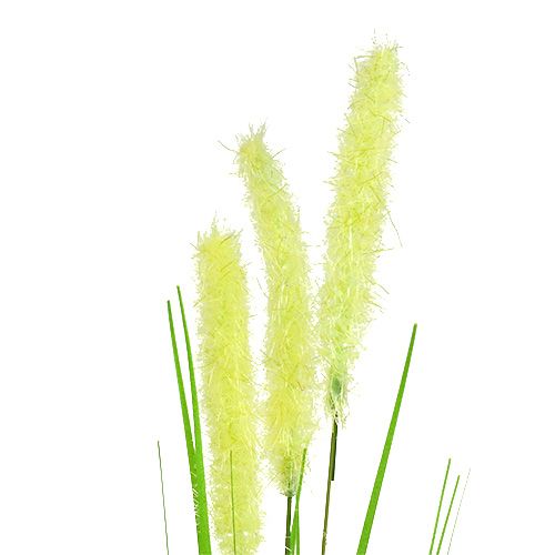 Product Onion grass 68cm green 6pcs