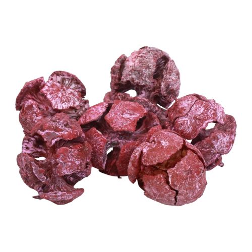 Floristik24 Cypress cones frosted natural decoration 3cm dark red 500g