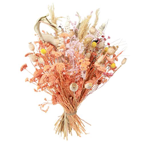 Product Achillea Yarrow dried meadow flowers salmon 40-50cm 80g