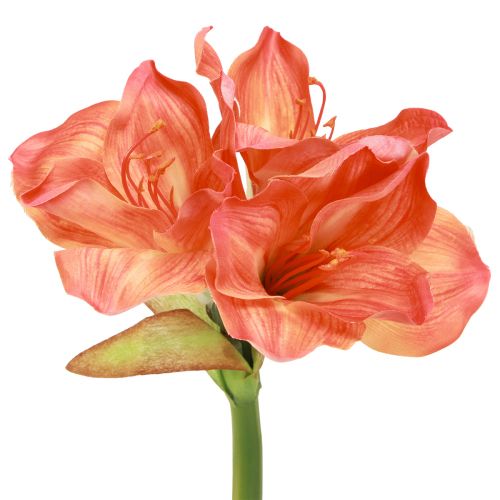 Floristik24 Amaryllis Decoration Flowers in Orange Artificial L55cm 2pcs