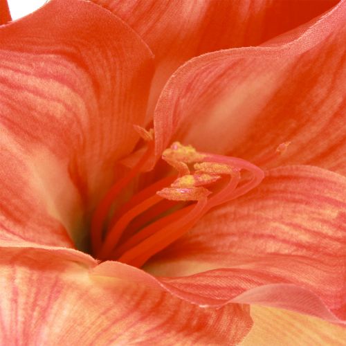 Product Amaryllis Decoration Flowers in Orange Artificial L55cm 2pcs