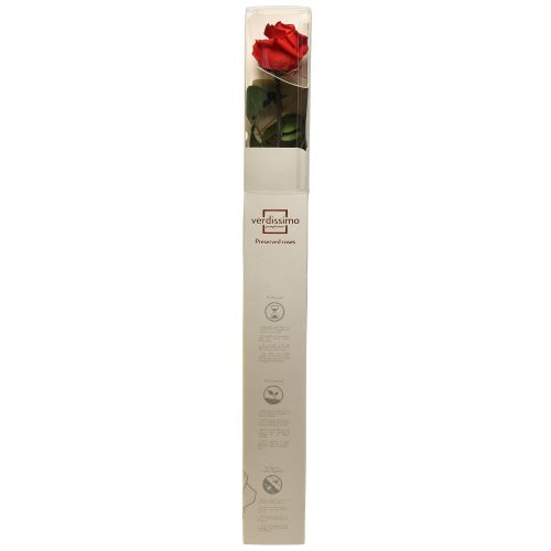 Product Infinity Rose with Leaves Preserved Amorosa Red L54cm
