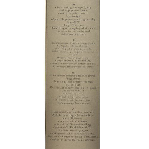 Product Infinity Rose with Leaves Preserved Amorosa Red L54cm
