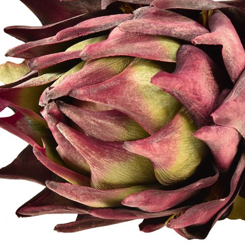 Product Artichoke artificial Large artificial flower Dry Look Purple 76cm