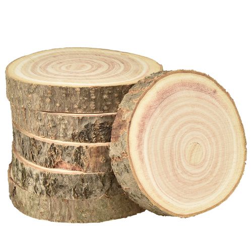 Product Tree Disc Paulownia Bluebell Tree Natural Ø12-14cm 6 pcs
