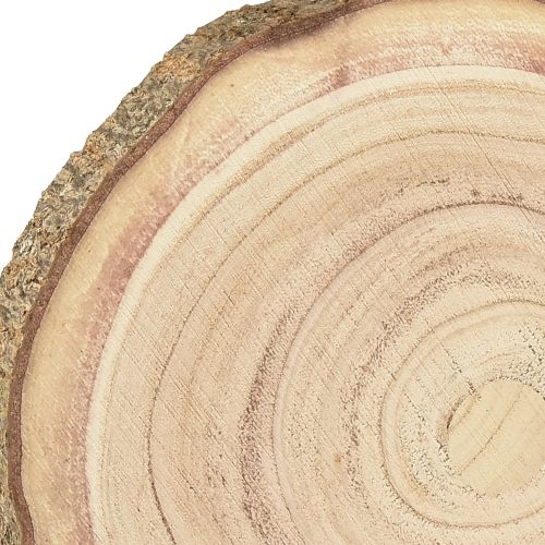 Floristik24 Tree disc Paulownia wood decoration natural Ø17-21cm 4 pcs