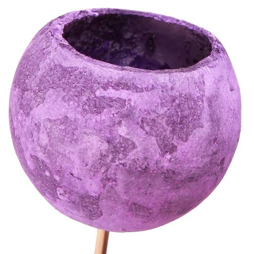 Floristik24 Bell Cup on a Stick Exotic Dry Decoration Purple Berry 44cm 15 pcs