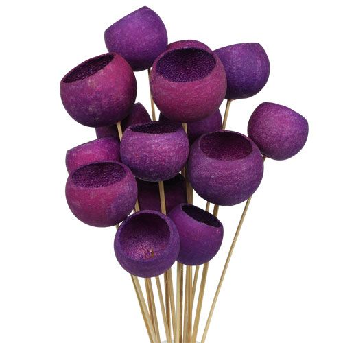 Floristik24 Bell Cup Mix on a stick Erika 15 pcs