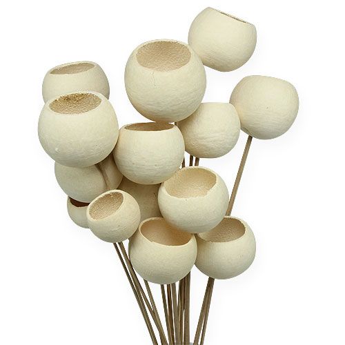 Floristik24 Bell Cup Mix on a stick bleached 15 pcs