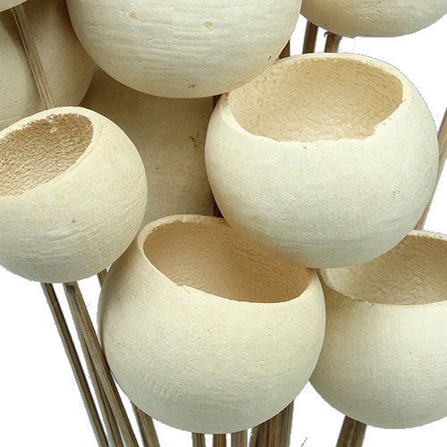 Floristik24 Bell Cup Mix on a stick bleached 15 pcs