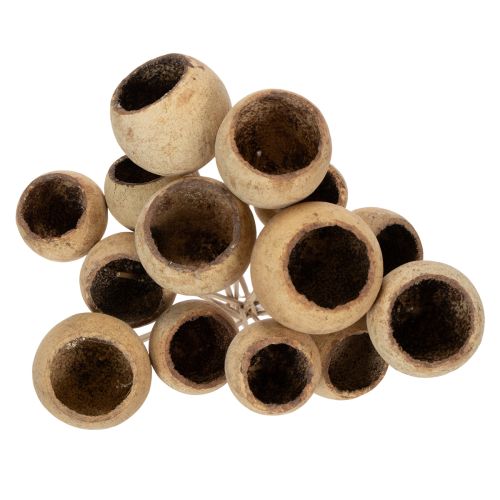 Product Bell Cup Mix on a Stem, Natural Exotic Varieties, 15 pieces