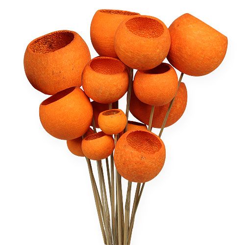 Bell Cup Mix on a stick Orange 15pcs