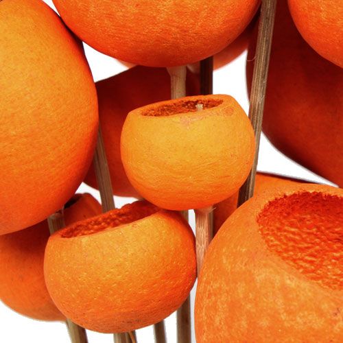 Floristik24 Bell Cup Mix on a stick orange 15 pcs