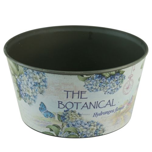Floristik24 Planter hydrangeas flower bowl round plastic Ø21cm H11cm