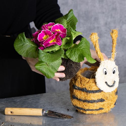 Product Bee figurine made from natural materials with a cute design for children's rooms, 24cm, 2 pieces