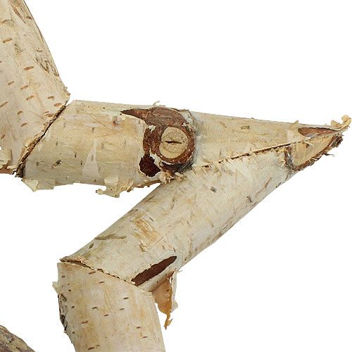 Floristik24 Birch star for hanging 22cm