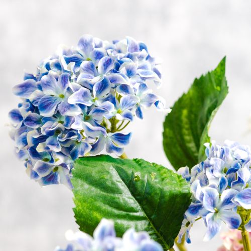 Product Hydrangea flowering branch for stylish home decoration, 80cm, 2 pieces