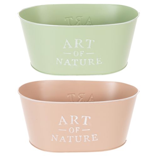 Oval zinc flower bowl, 27 x 18 cm, H 12.5 cm, various colors buy online | Floristik24.co.uk