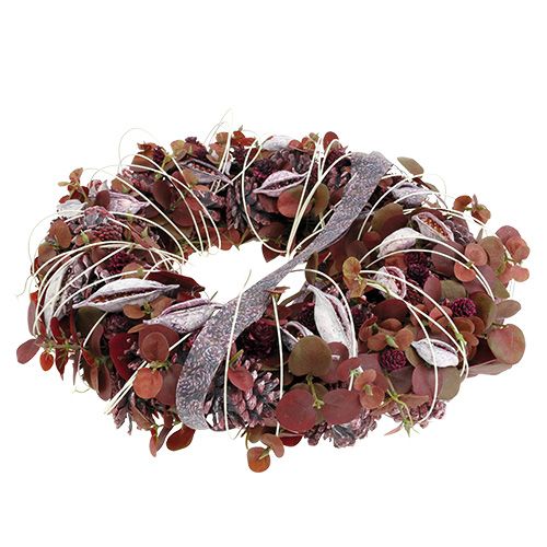 Product Brachyciton blackberry frozen 500g