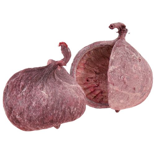 Product Buddha Nut Red White Dried Natural Decoration Ø5.5–9.5cm 5 pcs