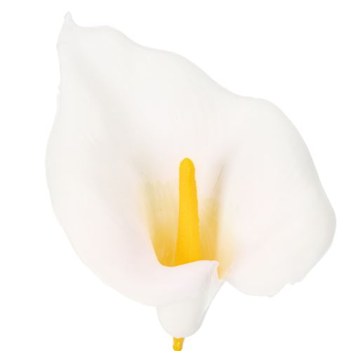 Product Calla lilies on wires, small, white, 50 pieces