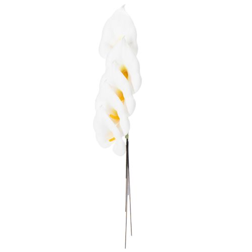 Product Calla lilies, medium, on wire, 50 pieces