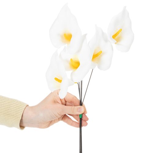Product Calla lilies, medium, on wire, 50 pieces