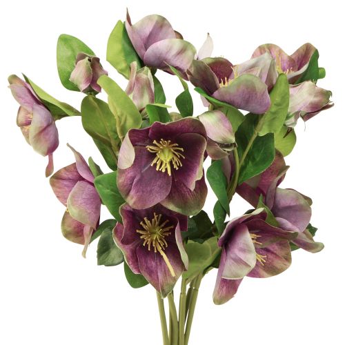 Floristik24 Christmas Roses Artificial Snow Rose Purple Flower L35cm 6 Pcs