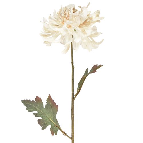 Floristik24 Chrysanthemums Artificial Decorative Flowers Cream L72cm 2pcs