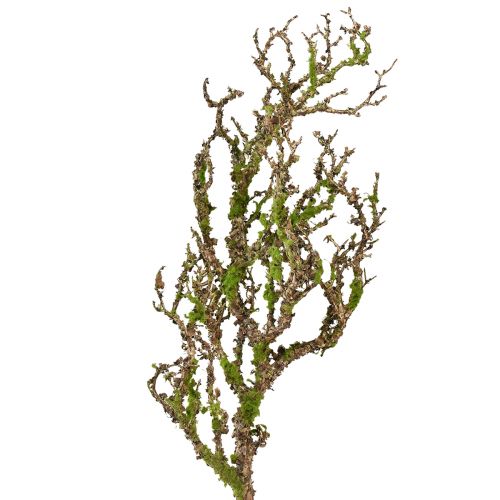 Product Decorative branch with moss artificial autumn decoration grey green L78cm