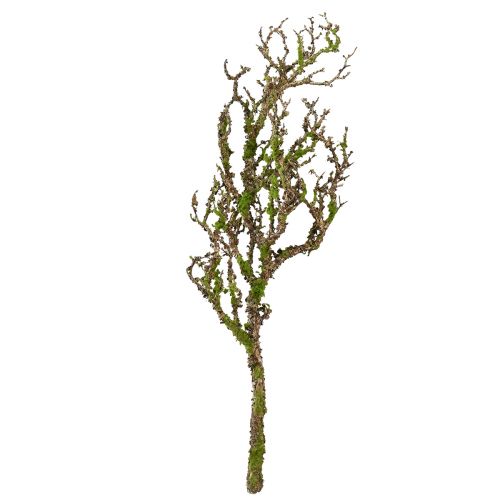 Product Decorative branch with moss artificial autumn decoration grey green L78cm